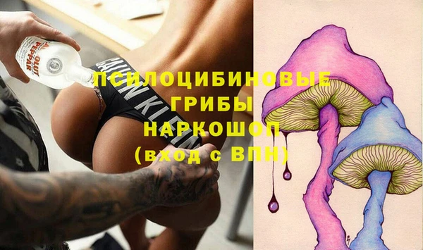 дмт Алексин