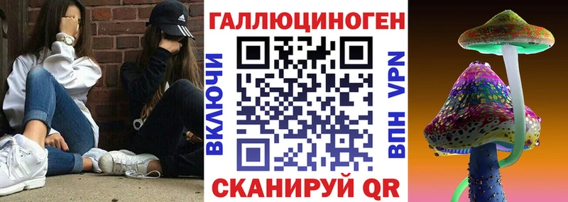 Галлюциногенные грибы Cubensis  купить   Арсеньев 